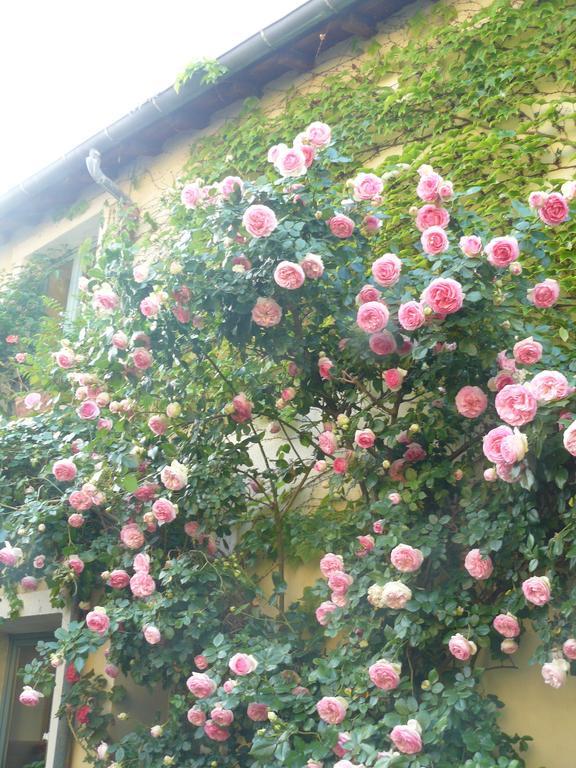 巴黎门住宿加早餐旅馆 蒙泰松 外观 照片